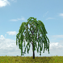 model trees